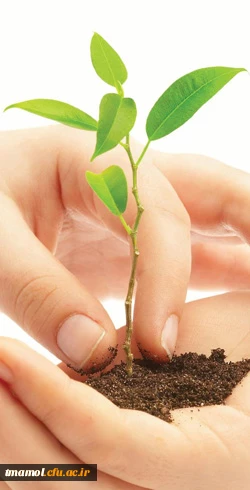 روز درختکاری