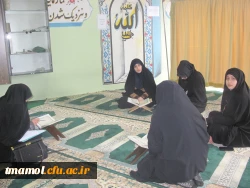 فرهنگی و هنری