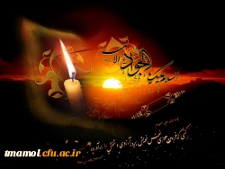 شهادت حضرت امام محمد تقی،جوادالائمه (ع) تسلیت باد
