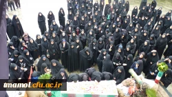 استقبال شهید گمنام