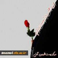 21 تیر روز عفاف وحجاب گرامی باد.