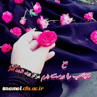 21 تیر، روز عفاف وحجاب