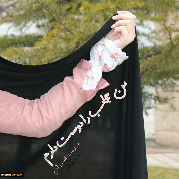 همایش صیانت از حریم خانواده وروز ملی عفاف وحجاب