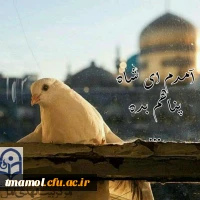 ولادت امام رضا(ع) مبارک باد.