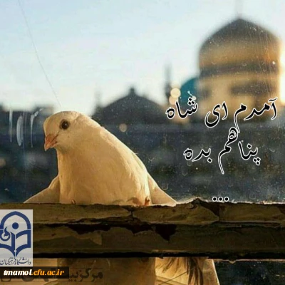 میلاد با سعادت امام رضا علیه السلام گرامی باد.