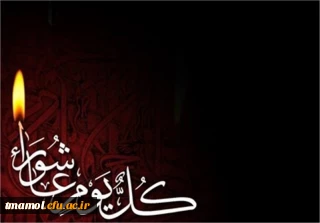 اسب ها شیهه نمی کشند، آفتاب نمی تابد، دلها نمی تپند، چشمان غمگین " زینب"، دیگر، لبخند برادر را نمی بیند.