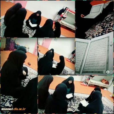 برگزاری جلسات هفتگی قرآنی( روخوانی و روانخوانی قرآن کریم) در سراهای دانشجویی