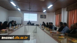 دوره بالندگی رفتارهای شهروندی و غیرشهروندی در سازمان