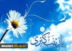 ولادت حضرت زینب(س) و روز پرستار گرامی باد.