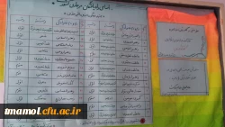 اسامی رتبه های برتر 28 جشنواره فرهنگی و اجتماعی دانشجو معلمان