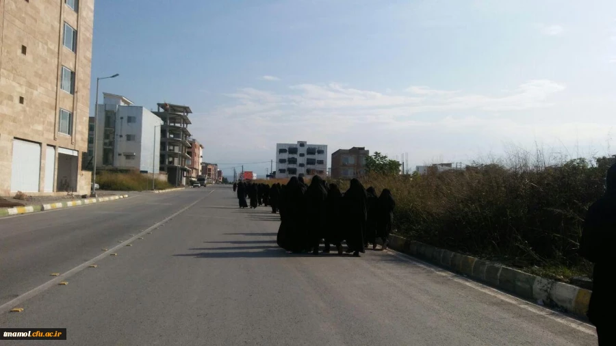 پیاده روی دانشجویان به مناسبت بزرگداشت هفته تربیت بدنی