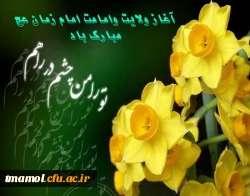 آغاز ولایت آقا امام زمان (عج)