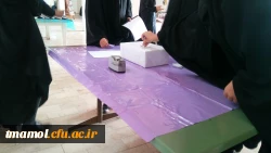 انتخابات ورزشی