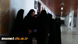 انتخابات ورزشی