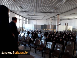 استادراهنما