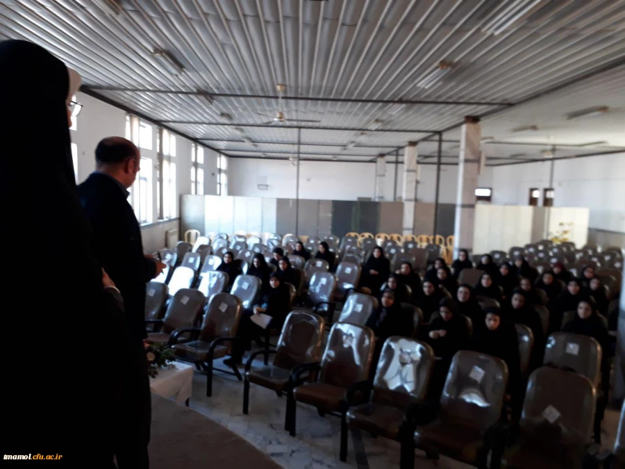 استادراهنما