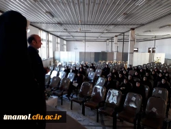 استادراهنما