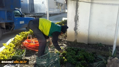 ایجاد فضای سبز با مساعدت شهرداری و شورای محترم شهرستان