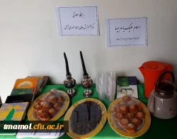 مراسم فاطمیه