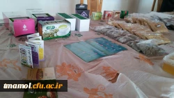 نمایشگاه گیاهان دارویی