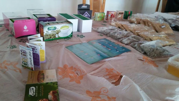 نمایشگاه گیاهان دارویی