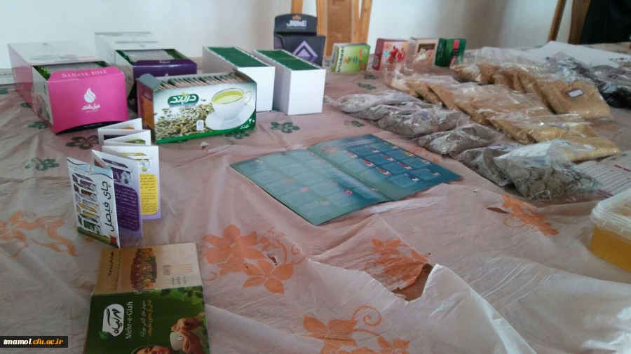 نمایشگاه گیاهان دارویی