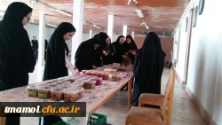 نمایشگاه گیاهان دارویی