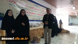 نمایشگاه ظروف سفالی