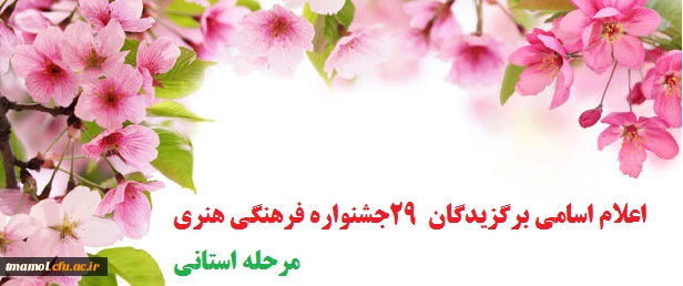 برگزیدگان29جشنواره