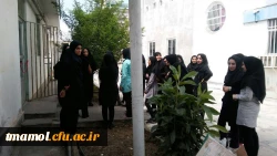 بوفه باحمایت کادر دانشگاه و همت دانشجویان دوباره بازگشایی شد