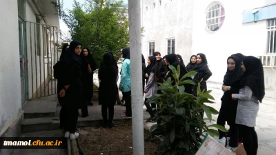 بازگشایی بوفه مرکز آموزش عالی بیت الهدی آمل