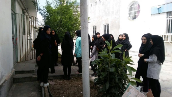 بوفه باحمایت کادر دانشگاه و همت دانشجویان دوباره بازگشایی شد