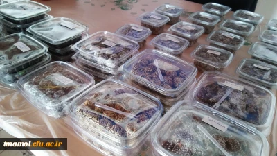 برگزاری غرفه ویژه ماه مبارک رمضان، مرکز آموزش عالی بیت الهدی آمل