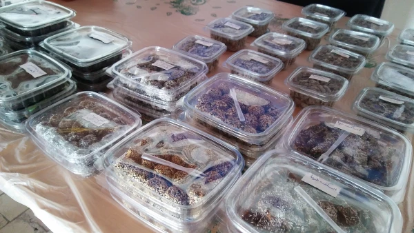 غرقه ویژه ماه مبارک رمضان ، مرکز بیت الهدی آمل