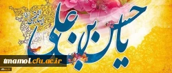 ولادت باسعادت کریم اهل بیت، حضرت امام حسن مجتبی (ع) مبارک باد