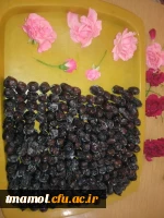 ضیافت افطار