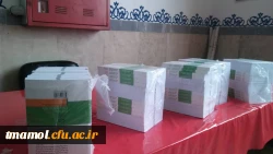 دوره اخلاق حرفه ای  4