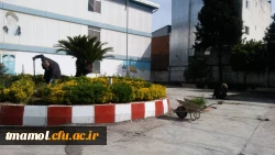 ضد عفونی و گند زدایی ویروس کرونا 4