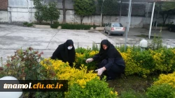 ضد عفونی و گند زدایی ویروس کرونا 5