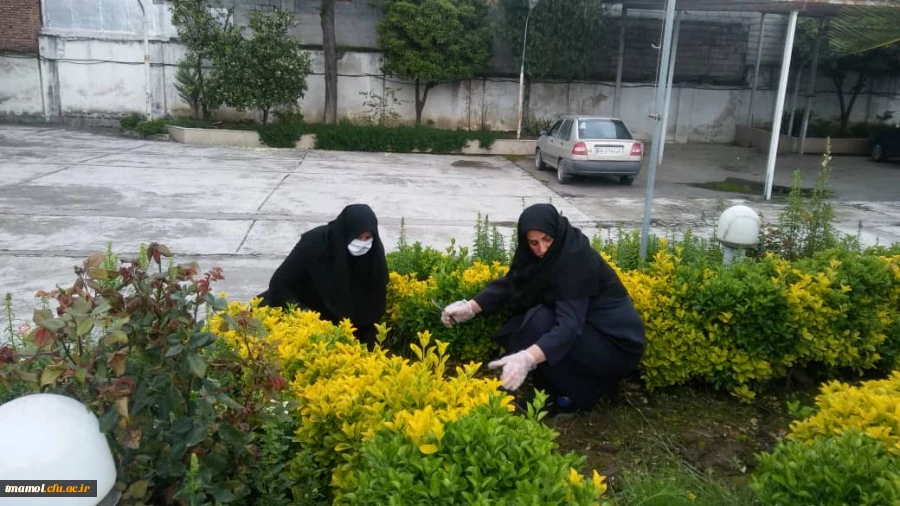 ضد عفونی و گند زدایی ویروس کرونا 5